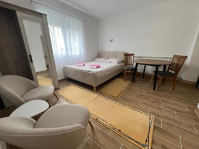 Apartment Phillip Studio Žabljak
